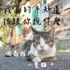 [LINEスタンプ] Interesting Image＆Word