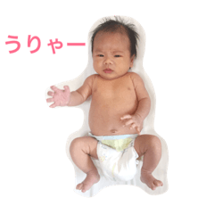 [LINEスタンプ] 楓人くん