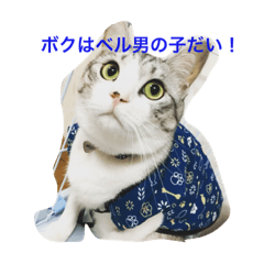 [LINEスタンプ] ベルくんだい！