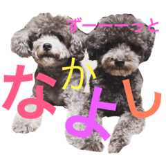[LINEスタンプ] 石井 ティム家族