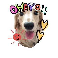 [LINEスタンプ] ミニチュアダックスフントのまろんちゃん