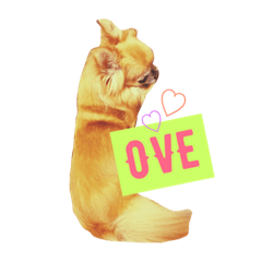 [LINEスタンプ] どっぐ☆わん