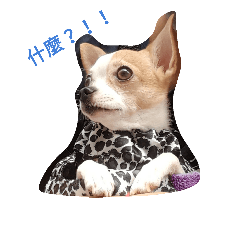 [LINEスタンプ] niubou
