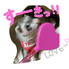 [LINEスタンプ] フェレットのチロルと犬のジョンソン