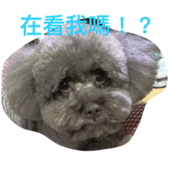 [LINEスタンプ] Baby's daily life 1