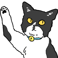 [LINEスタンプ] タロちゃんという猫