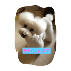 [LINEスタンプ] beenotorio