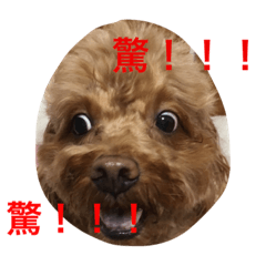 [LINEスタンプ] Puppy family -- Panda (1)