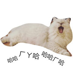 [LINEスタンプ] Lion Chen