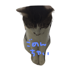 [LINEスタンプ] こゆきまる