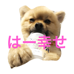 [LINEスタンプ] まるさんかくしーかく。
