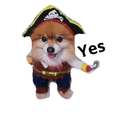 [LINEスタンプ] Pomeranian cosplay