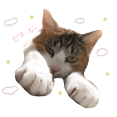 [LINEスタンプ] うちの猫 .* 