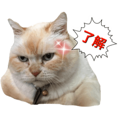 [LINEスタンプ] イブ4