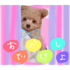[LINEスタンプ] はっぴぃとアロ 