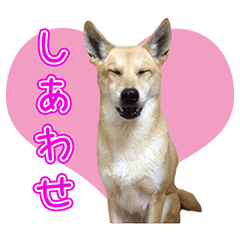 [LINEスタンプ] ちびさち