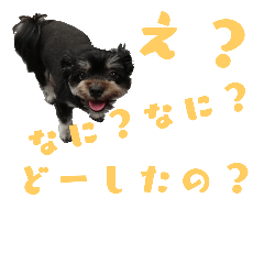 [LINEスタンプ] Dog.OGGi