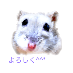 [LINEスタンプ] マイハム