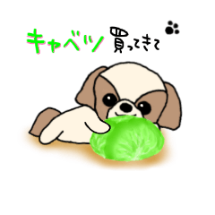 [LINEスタンプ] シーズー③(野菜買ってきて～)すたんぷ YDK