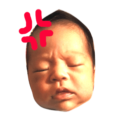 [LINEスタンプ] あかしと愉快な仲間達