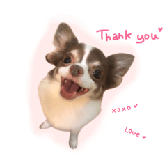 [LINEスタンプ] I am Milchan