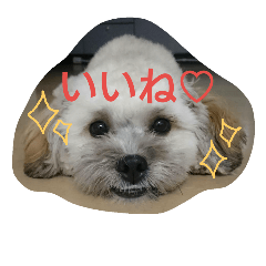 [LINEスタンプ] むぎくんスタンプ2