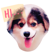 [LINEスタンプ] Momo and Chubby