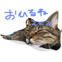 [LINEスタンプ] 小鉄とこうた
