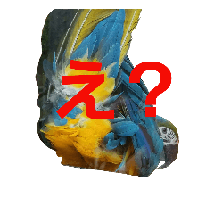 [LINEスタンプ] 鳥居のトリのインコっこたち