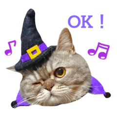 [LINEスタンプ] ブリティッシュ・ショートヘア きり