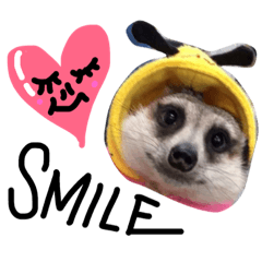 [LINEスタンプ] アニマル隊員〜ず2