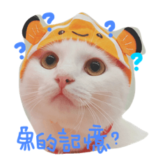 [LINEスタンプ] maggie＆hippocampus
