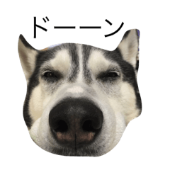 [LINEスタンプ] max ahaha