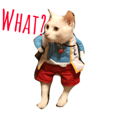 [LINEスタンプ] 白猫ゆり2