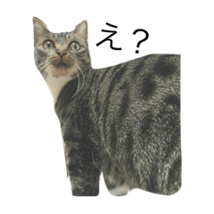 [LINEスタンプ] はまち と なみ