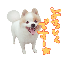 [LINEスタンプ] 蘭丸さん
