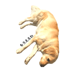 [LINEスタンプ] 関西弁ゴールデンレトリバー