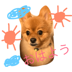 [LINEスタンプ] うちのわんちゃん。