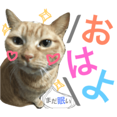 [LINEスタンプ] ういちゃんのスタンプ