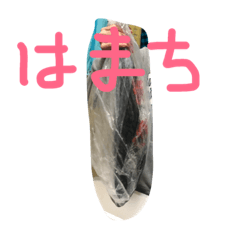 [LINEスタンプ] ハマチスタンプ