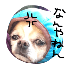 [LINEスタンプ] mametaroro