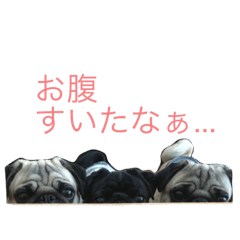 [LINEスタンプ] どんべえFamily