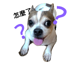[LINEスタンプ] Just dog2