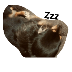 [LINEスタンプ] やるせない犬