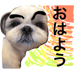[LINEスタンプ] shih tzu -non2