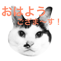 [LINEスタンプ] Doro stumps