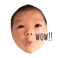 [LINEスタンプ] たいしもんスタンプ