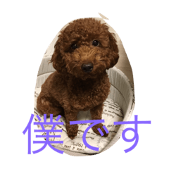 [LINEスタンプ] Herbie