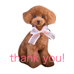 [LINEスタンプ] poodle214