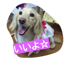 [LINEスタンプ] もも 2017 その1
